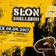 Koncert Słonia i Shelleriniego