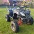 Quad BASHAN 250cm Zarejestrowany! CROSS! 2016r! Wyciągarka!Opłaty 2020