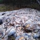 700 kg odpadów do lasu wyrzucił przedsiębiorca z powiatu człuchowskiego