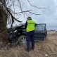 Groźny wypadek na trasie Zalesie-Brusy