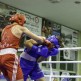 Chojnicki Boxing Team uznany za najlepszy na Pomorzu