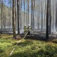 Pożary lasów w regionie. Ogień pojawił się w Parku Narodowym 'Bory Tucholskie' i w Nowej Cerkwi