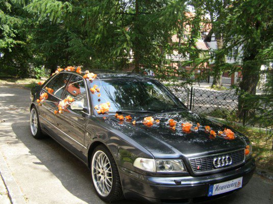 Audi ślubne1