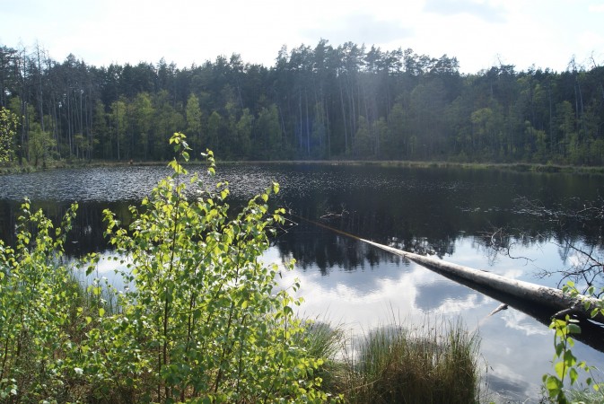 Majówka pełna słońca w Borach
