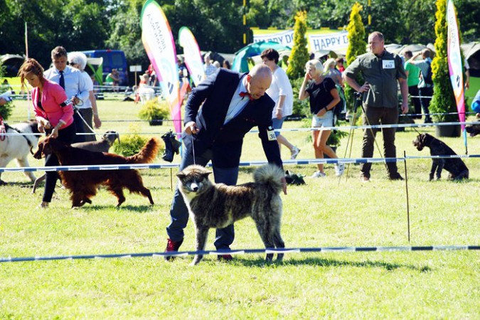 Weekend z psami rasowymi w ostatni weekend lipca