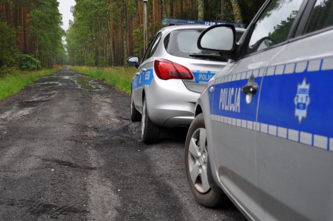 Policjanci apelują. Szukając grzybów, nie zgub drogi do domu