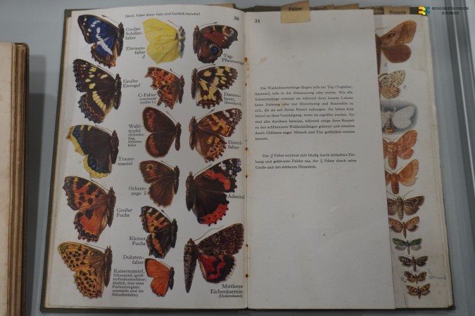 'Historyczne książki i podręczniki leśne ze zbiorów Adriana Talaśki' - prelekcja w MBP