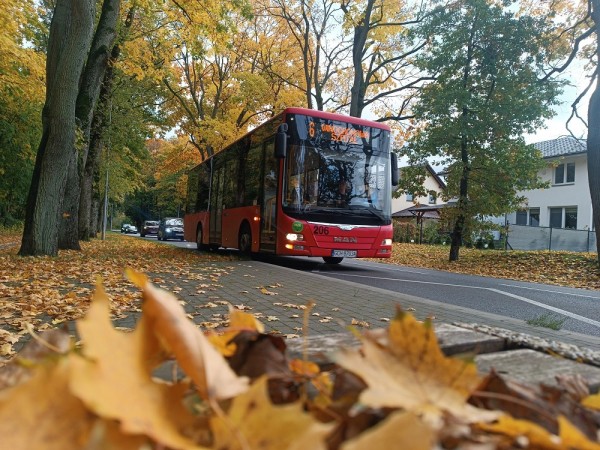 Zmiany w funkcjonowaniu komunikacji miejskiej w dniach 10-11 listopada 2025 r.