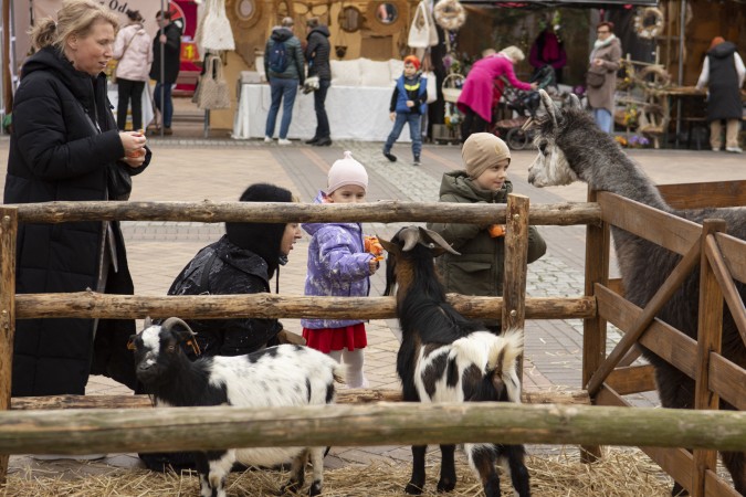 Ranczo 'Przytulna Zagroda' nie zostanie przeniesiona do Chojnic