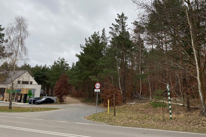 Wycinka drzew w Charzykowach. Mieszkańcy pytają, komu przeszkadzały młode brzózki?