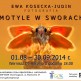 Motyle w Sworach