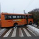 Autobus zaklinował się między płotami