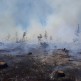 Pożar lasu w Nadleśnictwie Rytel 