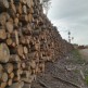 Powiat wypłacił 7,5 mln zł na porządkowanie lasów