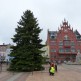 Świąteczne drzewo stanęło w sercu Chojnic