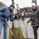 Nowa zieleń wokół starej szkoły 