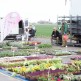III Wiosenne Targi Ogrodnicze – już w najbliższy weekend!