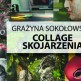 Wystawa 'Collage – skojarzenia'