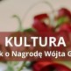 Kultura - złóż wniosek o Nagrodę Wójta Gminy Chojnice