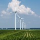 Spółdzielnia Energetyczna Gminy Chojnice. Stawiamy na słońce i wiatr