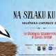 Na Szlaku Kultur Chojnice 2025