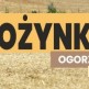 Dożynki w Ogorzelinach - Święto Plonów 2025