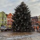 Choinka jeszcze w listopadzie ozdobi chojnicki rynek