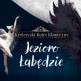 'Jezioro Łabędzie' w wykonaniu Królewskiego Baletu Klasycznego