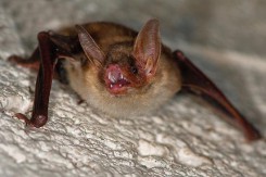 źródło: www.mkwppr.pl