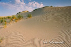 źródło: www.slowinskipn.pl, autor D. Pawłowski