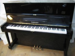 źródło: http://musial.com.pl