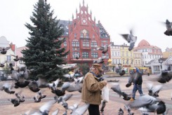 Choinka na Starym Rynku stoi od 3 grudnia.