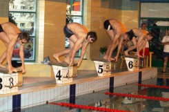 Mistrzostwa Chojnic w pływaniu edycja 2011.