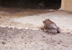 fot. Karolina Lubińska