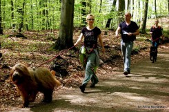 Zdjęcie z zawodów w Gdyni, fot. Anna Michalska. 