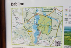 Mapka z przebiegiem Kaszubskiej Marszruty przy punkcie wypoczynkowym w Babilonie.