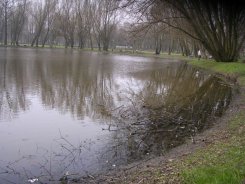 Czy w Chojnicach będzie jezioro?
