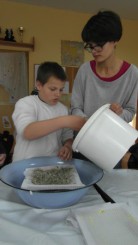 Warsztaty poprowadziła Ewa Boczko-Urbańska.