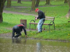 Park 1000-lecia w Chojnicach / fot. Kasia