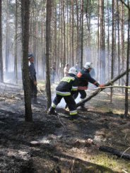 Mimo silnego wiatru sytuacja w lesie została opanowana. 