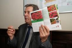 Obsadzenie skwerku różami ma kosztować ponad 10 tys. zł. 