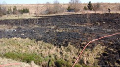Do pożaru trawy na nieużytkach doszło m.in. w minioną niedzielę przy ul. Angowickiej w Chojnicach..