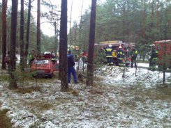 Maluch na drzewie...