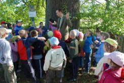 Pod pomnikiem przyrody, dębem przy osadzie Pokrzywno.