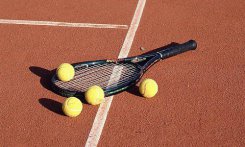 Fot. www.widelec.org