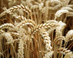 akadera.bialystok.pl