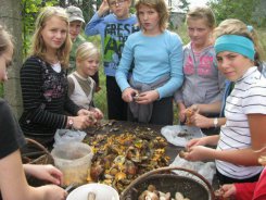 Podczas czyszczenia grzybów przed sprzedażą.