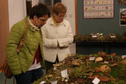 Po wykładzie można było zastosować świeżo nabytą wiedzę.