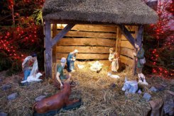 fot. Krzysztof Różycki