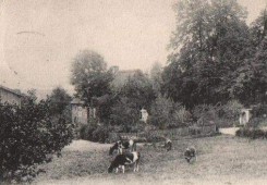 Wieś niedaleko Chojnic ok. 1910 r.